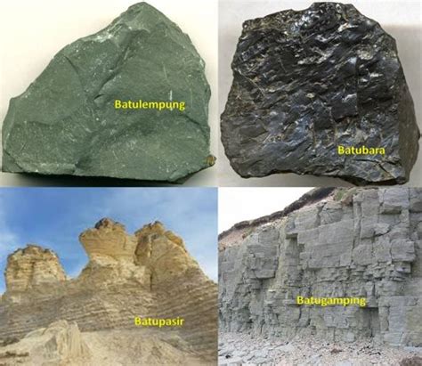 Jenis Dan Pembagian Terstruktur Mengenai Batuan Sedimen JURNAL KU