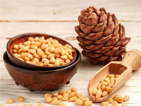15 Health And Nutrition Benefits Of Pine Nuts Credihealth