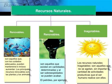 Recursos Naturales Qu Son Tipos Y Ejemplos De Recursos Ecolog A