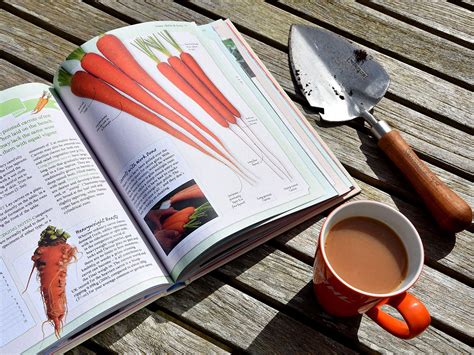 This book is one of the best vegetable gardening for beginners uk growing season and climate considered. 10 best gardening books | The Independent