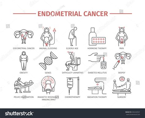 Uterine cancer is diagnosed with a pelvic exam, pap test, a transvaginal ultrasound exam, and biopsy. Endometrial Cancer Symptoms Causes Treatment Line Stock ...