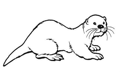 Otter Free Colouring Pages
