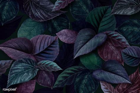 Metallic Green And Purple Leaves Textured Background Free Image By