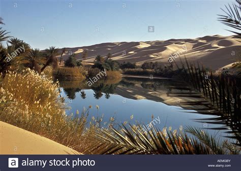 Libya Ubari Sahara Desert Oasis With Palm Trees And Lake Um El Ma Stock