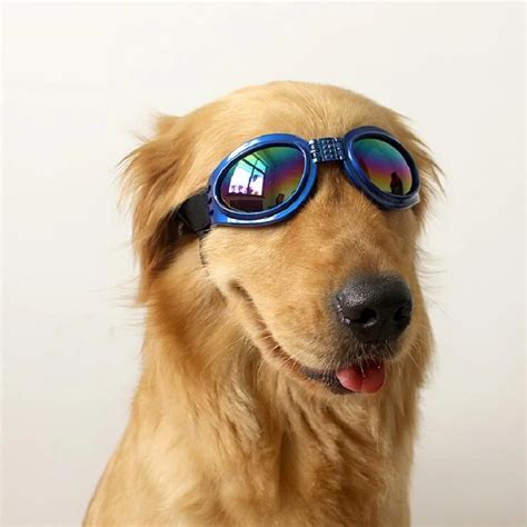 Hot Pet Sunglasses Fashion Water Proof Multi Color Pet Medium Large