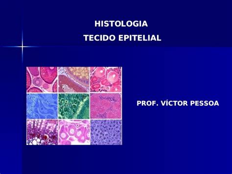 Ppt Histologia E Embriologia Tecido Epitelial Aula Dokumen Tips The Best Porn Website