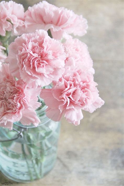 From you flowers offers a wide selection of carnations for delivery! Pink flowers must be some of the most popular on planet ...