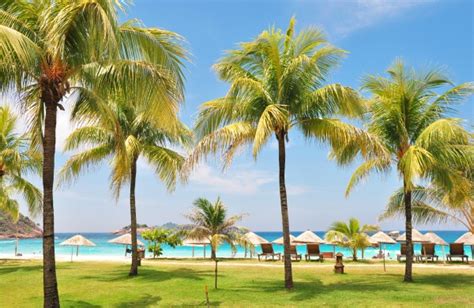 All resorts have beachfronts except for redang island resort. | Redang Laguna Resort, Pulau Redang