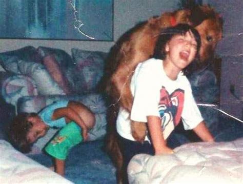 The 20 Worst Photos Of Inappropriate Dog Humping