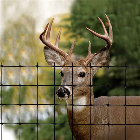 Better homes and gardens is the fourth best selling magazine in the united states. Keep deer from eating landscape plants | Home Garden and ...