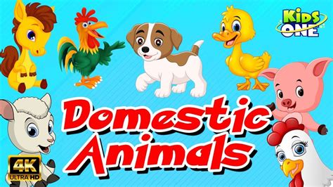 Learn Domestic Animals Sounds For Children Best Way To Learn Animals