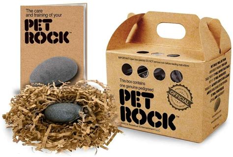 How Much Did Pet Rocks Cost