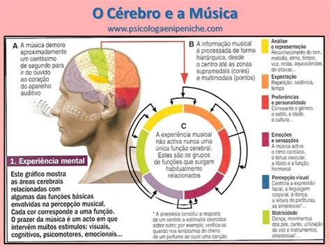 Qual é O Coletivo De Músicos