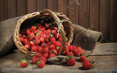 Strawberry Fruits Wallpapers | Wallpapers HD