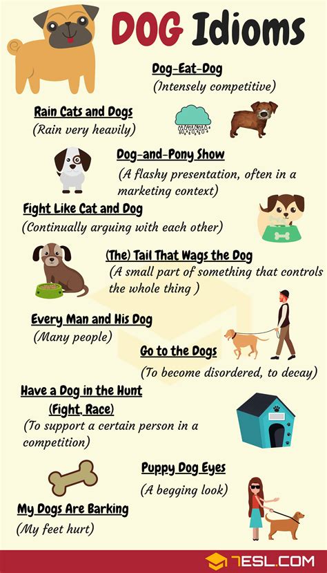 Dog Idioms 16 Useful Dog Idioms And Sayings • 7esl