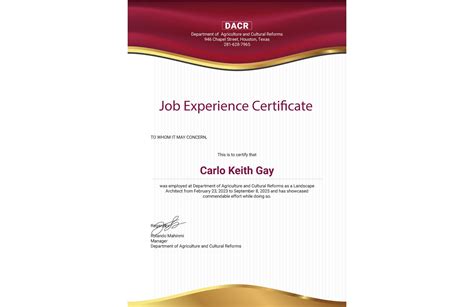 Editable Job Experience Certificate Template In Illustrator Pages Psd