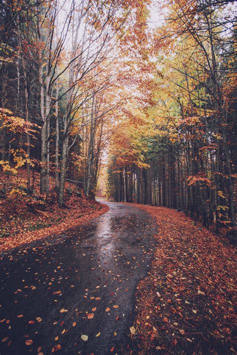I've had a bunch of questions and requests to do with my narusasu doujinshi and i felt. elenamorelli: { rainy day drive } | Autumn nature ...