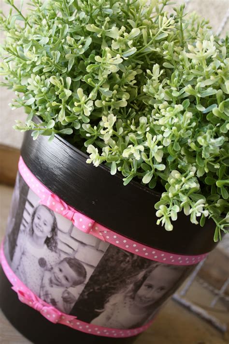 Browse 51 flower flower bed trellis flower pot stock photos and images available, or start a new search to explore more stock photos and images. Mother's Day Photo Flower Pot - A Diamond in the Stuff