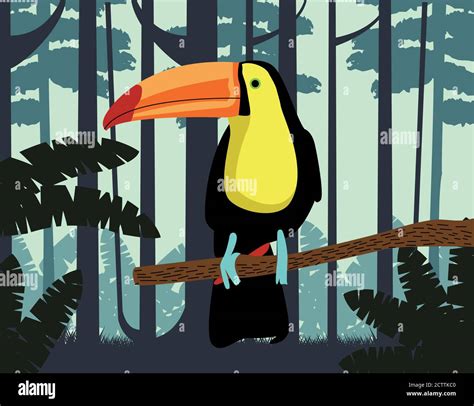 Wild Toucan Exotic Bird Animal In The Jungle Scene Vector Illustration