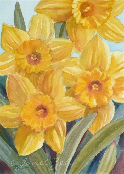 Zeh Original Art Blog Watercolor And Oil Paintings Yellow Daffodil