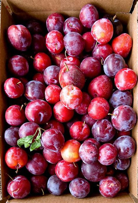 Plums Fruit And Veg Fruits And Vegetables Fresh Fruit Delicious Fruit Tasty Yummy