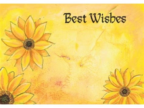 The Best Wishes With The Best Cards My Blog