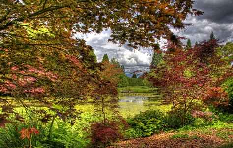 Wallpaper Autumn Leaves Trees Pond Garden Canada The Bushes
