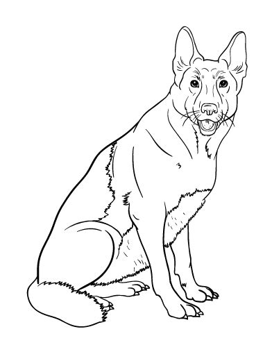 Pitbull clipart coloring page pencil and in color pitbull. Free German Shepherd Coloring Page | Dog coloring page ...
