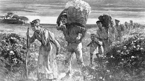 How Slavery Became The Economic Engine Of The South History In The