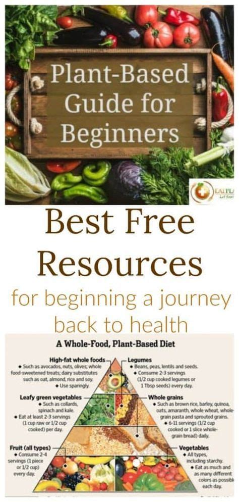 Plant Based Diet Beginners Guide Plant Based Diet Meal Plan Plant