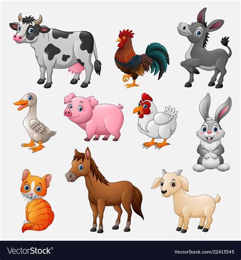 Farm Animal Collection Set On White Background Vector Image Farm