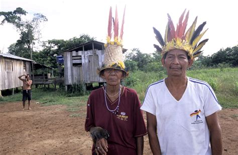 Mexikos präsident hat den könig spaniens und den papst in briefen dazu aufgefordert, sich für die spanische eroberung und unterwerfung. Indigene Völker am Amazonas durch Coronavirus bedroht ...