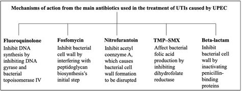 The Primary Antibiotics Used To Treat Utis Caused By Upec And Their