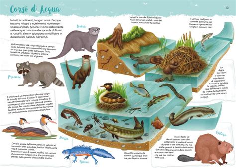 Animal Habitats – Ant's Books Packager