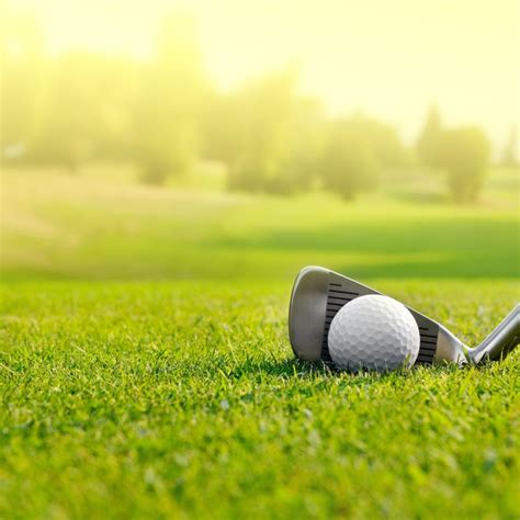3 Characteristics Of The Perfect Golf Green Turf Etc