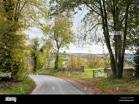 Country Lane In Autumn Near Guiting Power Cotswolds Gloucestershire