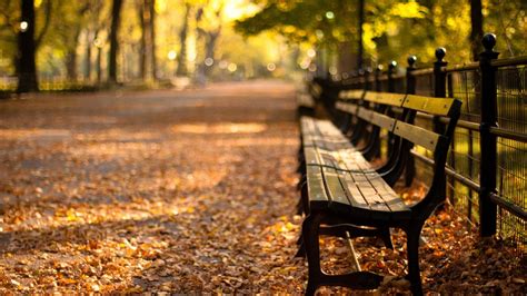 🥇 Autumn Bench Parks Trees Wallpaper 141888