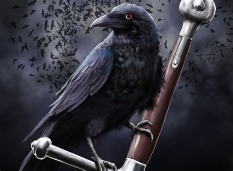 Black Crow Wallpaper For Android Iphone And Ipad