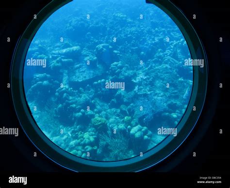 Underwater Window Hi Res Stock Photography And Images Alamy