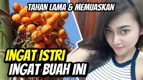 Berikut merupakan tiga resep cara membuat jamu ayam bangkok yang bisa anda tiru untuk meningkatkan kesehatan ayam sehingga lebih tangguh dalam pertarungan. Cara Buat Jamu Kuat Dari Buah Pinang