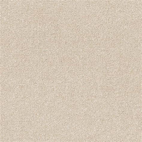 Home Decorators Collection Perfected Ii Polished Beige 60 Oz Sd