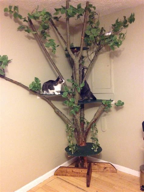 30 Real Natural Cat Tree Decoomo