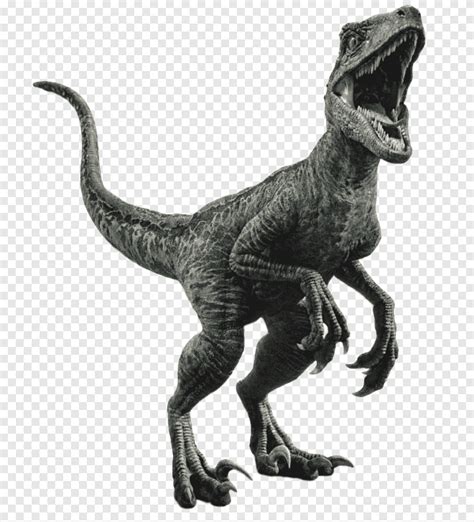 Velociraptor Owen Jurassic World Evolution Dinosaur Jurassic Park