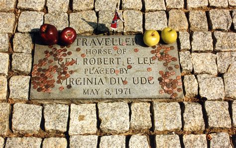 On Memorial Day Lets Honor A War Horse Veteran Traveller A