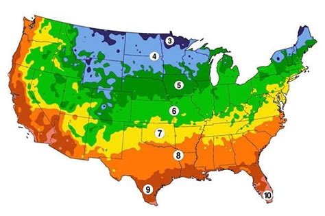 Find Your Hardiness Climatic Region In Usa For Growing Vegetables And Herbs