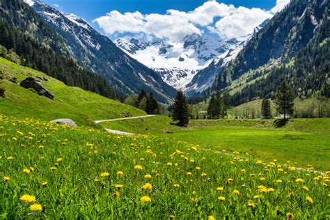 Austrian Alps Stock Photos Pictures And Royalty Free Images Istock