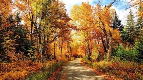 The Brilliance Of Autumn In New England Wttw Chicago