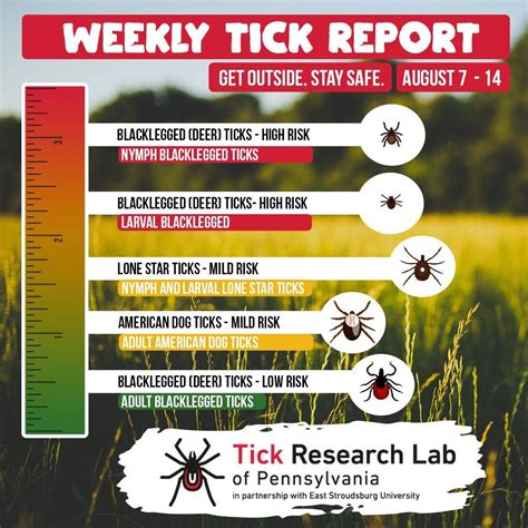 4 Most Common Diseases Transmitted By Blacklegged Deer Tick Bites