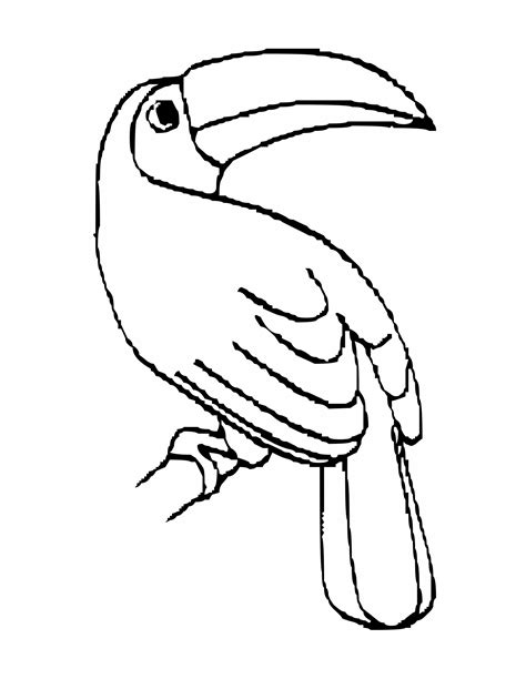 Little cute toucan sits on the tree banch and smiles. Toucan Coloring Pages - Best Coloring Pages For Kids