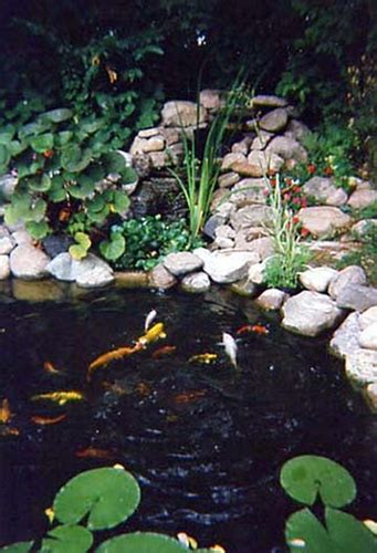 Victoria Koi Pond Kit Pond Products Canada Hydrosphere